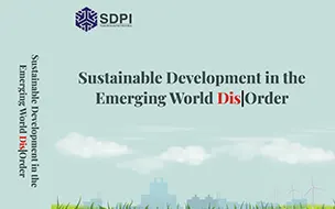 Sustainable Development in the Emerging World Dis|Order